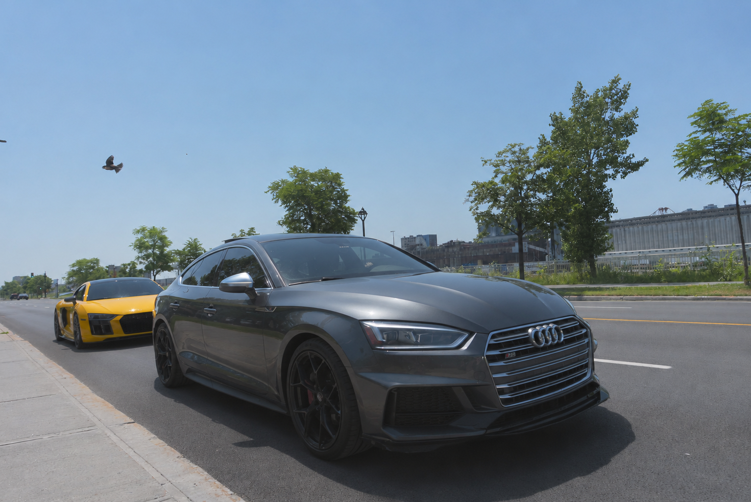 Audi S5 Sportback près du fleuve à Montréal